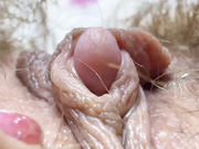 近距离阴核特写