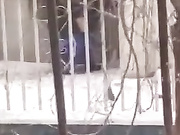 初中生野战被呵