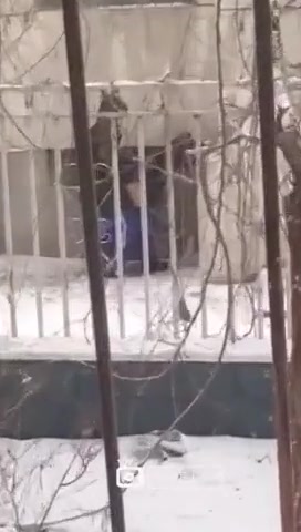 初中生野战被呵