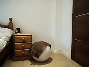 孕妇做体操