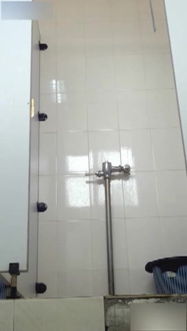 全程露脸上二部国内厕所盗摄系列一