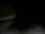 给骚屄指交绝对真实