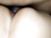 后入老婆的骚逼